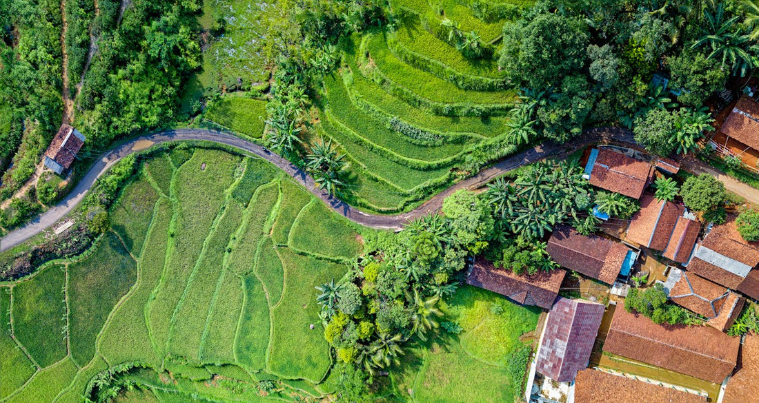 10 Reasons Indonesia Should Be Your Next Holiday Destination in 2026