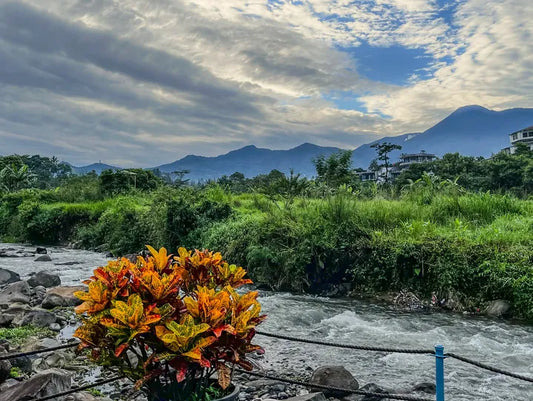 Bogor Botanical Gardens & Puncak Highlands Tour