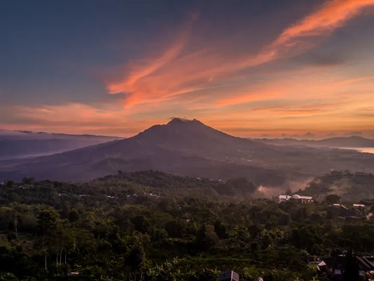Ubud & Kintamani Volcano Tour